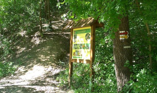 Krumlovská 36