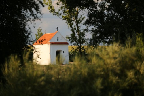 Kaplička Panny Marie ve Chvalovicích