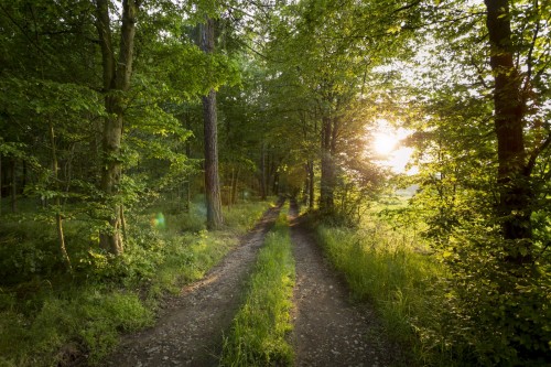 Přírodní park Jevišovka