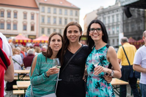 Festival vína VOC Znojmo