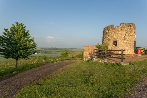 Viniční hrádek Lampelberg